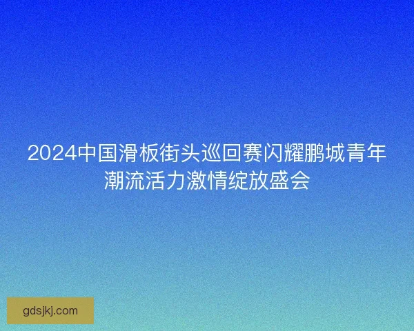 2024中国滑板街头巡回赛闪耀鹏城青年潮流活力激情绽放盛会